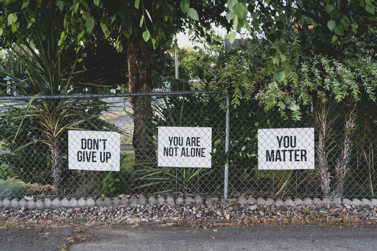 Signs hanging on a fence